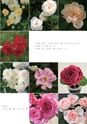 ROSE FARM KEIJI ばら作家、國枝啓司のばら園  collection 2015