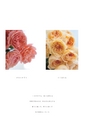 ROSE FARM KEIJI ばら作家、國枝啓司のばら園  collection 2015