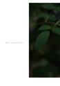 ROSE FARM KEIJI ばら作家、國枝啓司のばら園  collection 2015