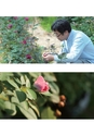 ROSE FARM KEIJI ばら作家、國枝啓司のばら園  collection 2015